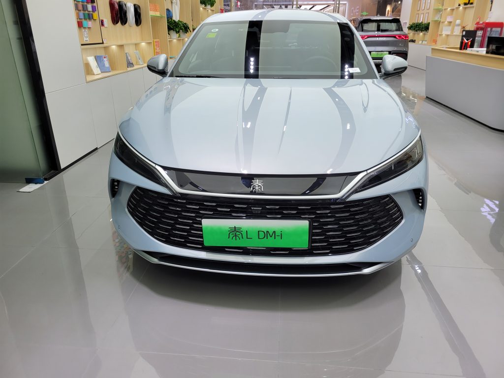 My son enjoys pointing out the design of the BYD EV, including its unique front grille.